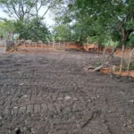 Alquiler maquinaria finca horconcitos