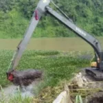 Planta Hidroeléctrica Bajo frio Limpieza de lirios