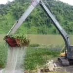 Planta Hidroeléctrica Bajo frio Limpieza de lirios