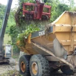 Planta Hidroeléctrica Bajo frio Limpieza de lirios