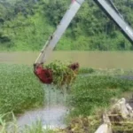 Planta Hidroeléctrica Bajo frio Limpieza de lirios