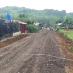 Mejora caminos de Pedregal
